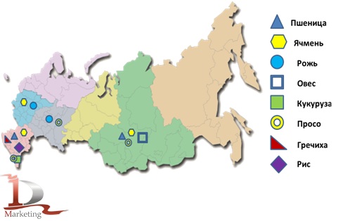 Региональная структура валовых сборов зерновых в России в 2010 году
