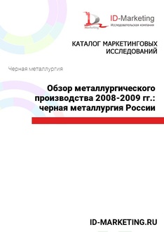 Обзор металлургического производства 2008-2009 гг.: черная металлургия России