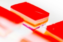 Импорт желатина в Россию из Китая в 2025 году вырос на 25%